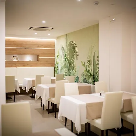 酒店 国际海滩酒店